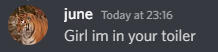 Girl I'm in your toiler